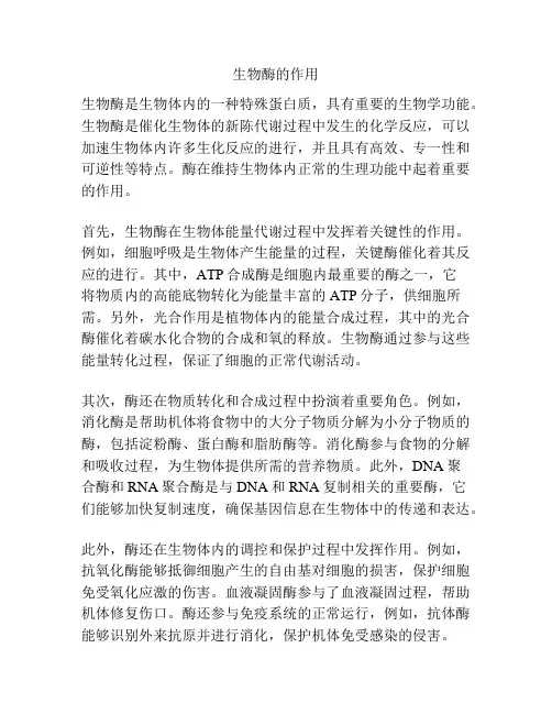 生物酶的作用