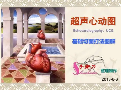 超声心动图常用切面的打法图解
