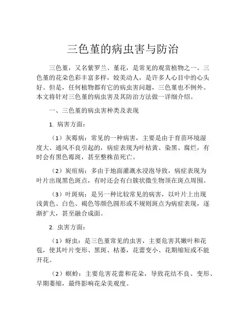 三色堇的病虫害与防治