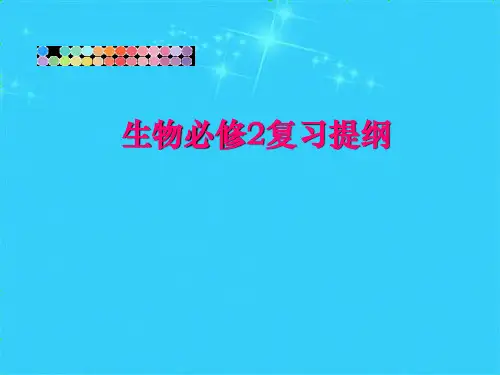 生物必修2复习提纲(共6张PPT)