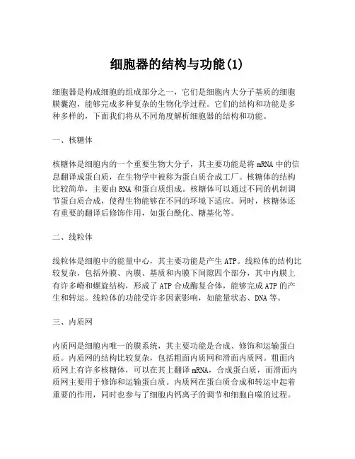 细胞器的结构与功能(1)