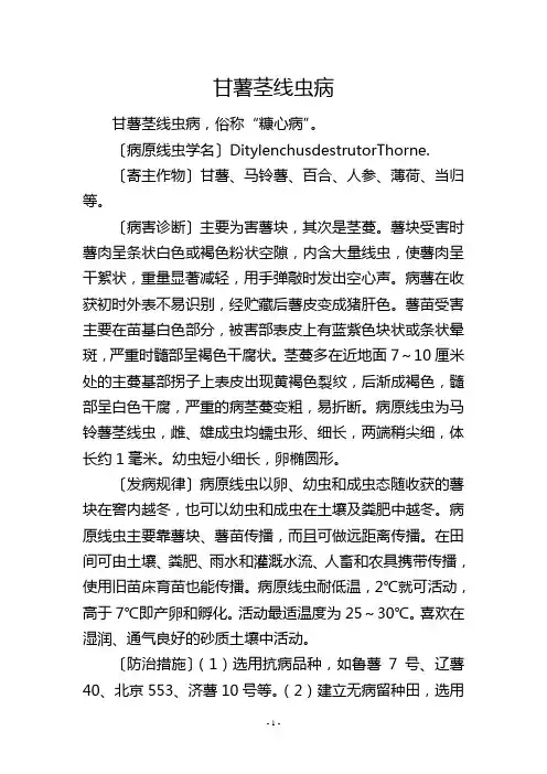 甘薯茎线虫病