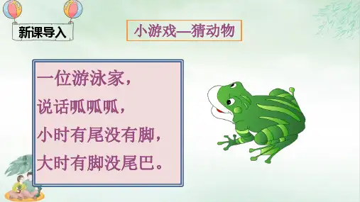 《小青蛙》课件教学(共24张PPT)