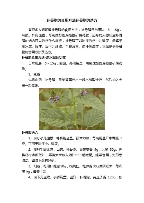 补骨脂的食用方法补骨脂的选方