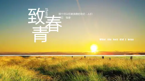 致青春毕业季留念电子相册PPT模板