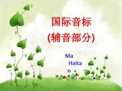 国际音标(28个辅音)