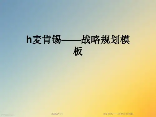 h麦肯锡——战略规划模板