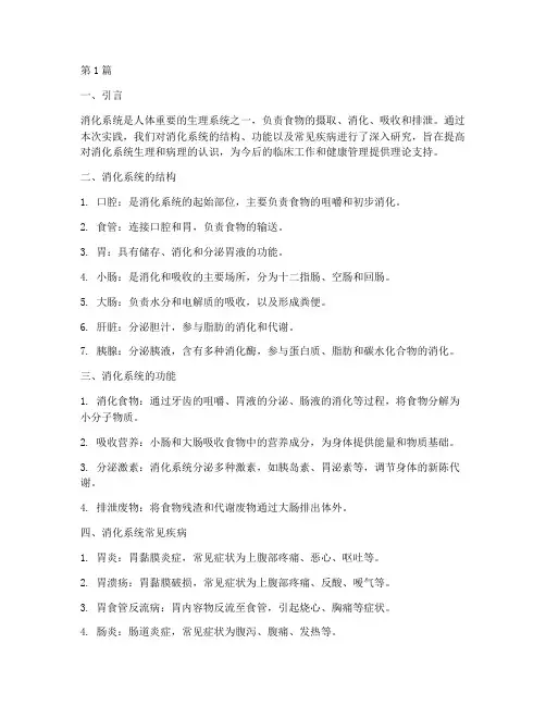 实践报告消化系统(2篇)