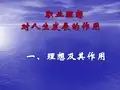 理想与职业理想
