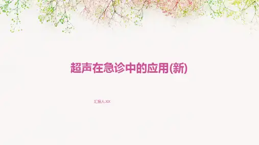 超声在急诊中的应用(新)