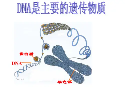 肺炎双球菌转化实验