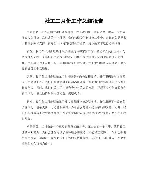 社工二月份工作总结报告