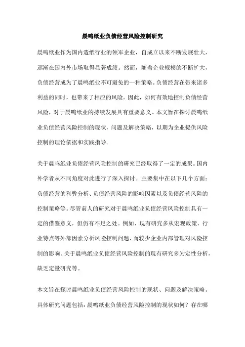 晨鸣纸业负债经营风险控制研究