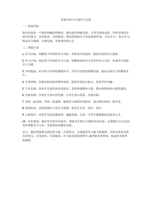 班级目标与计划学习方面