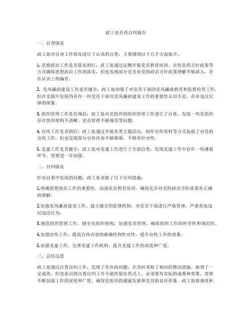 政工处自查自纠报告