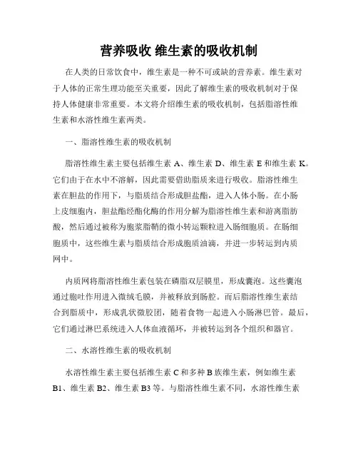 营养吸收 维生素的吸收机制