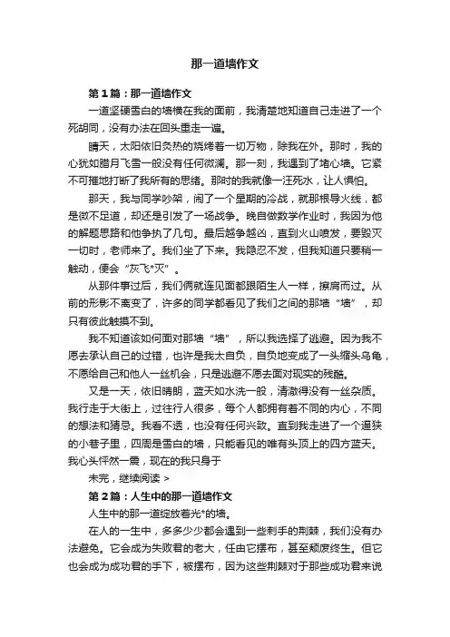 那一道墙作文