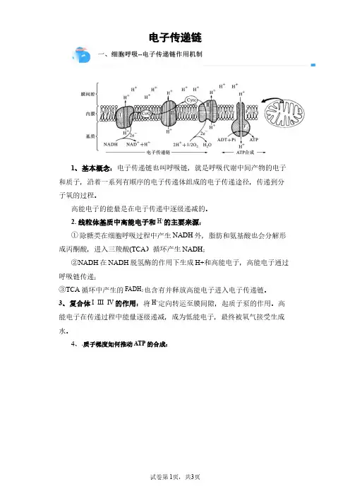 高中生物复习电子传递链练习题