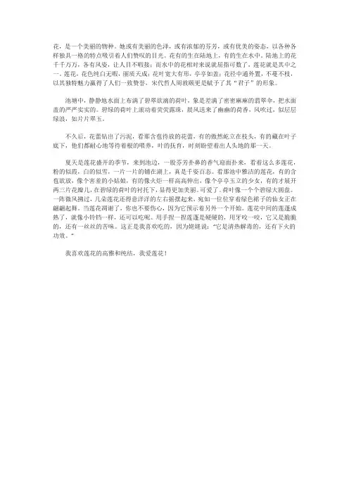 我喜欢莲花