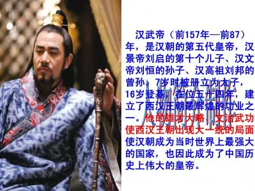 汉武帝时代