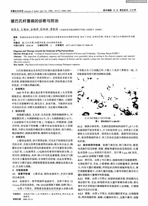 猪巴氏杆菌病的诊断与防治