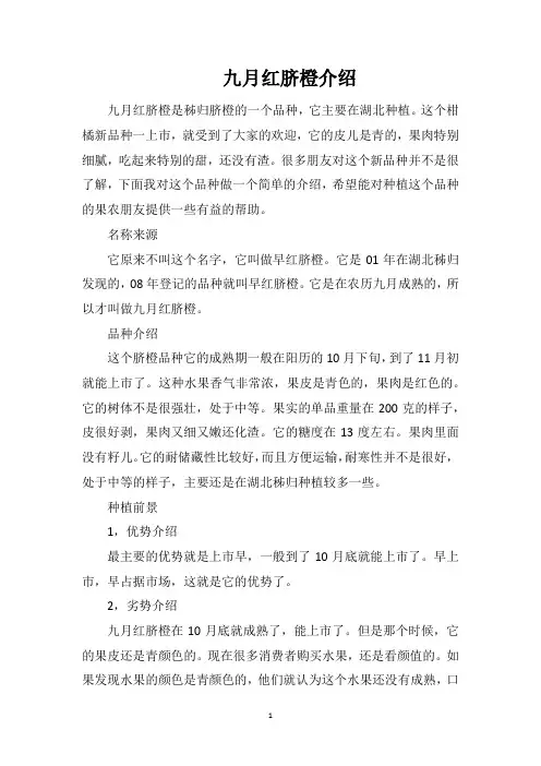 九月红脐橙介绍