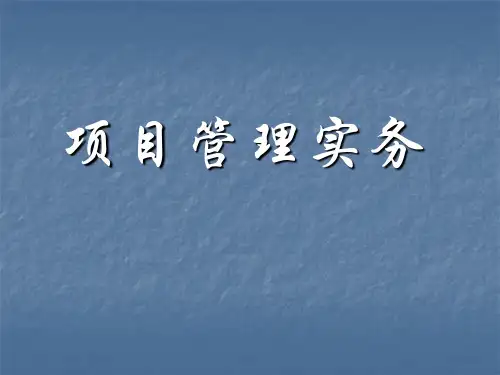 项目管理实务课件(PPT117张)
