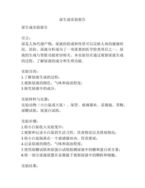 尿生成实验报告