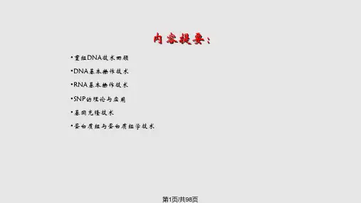 分子生物学研究法DNARNA及蛋白质操作技术