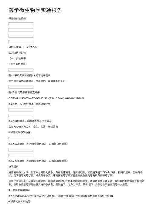 医学微生物学实验报告