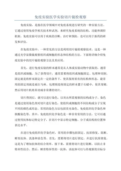 免疫实验医学实验切片镜检观察
