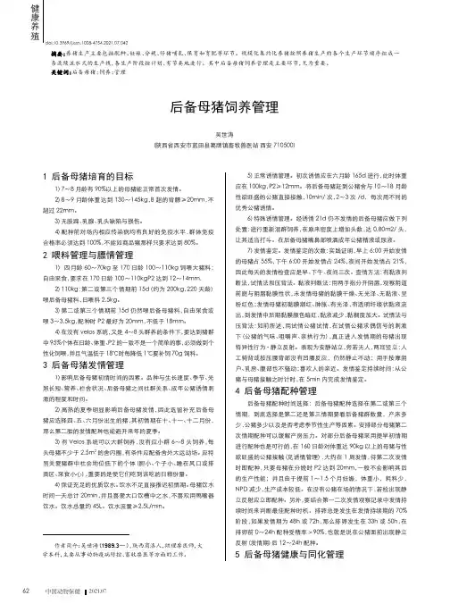 后备母猪饲养管理
