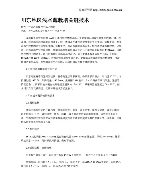 川东地区浅水藕栽培关键技术