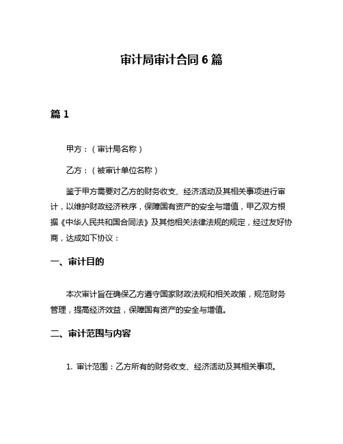 审计局审计合同6篇