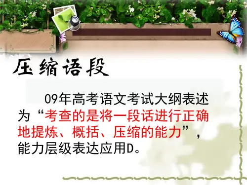 说明性语段压缩正式版