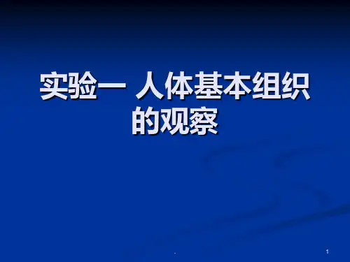 实验一-人体基本组织的观察课件