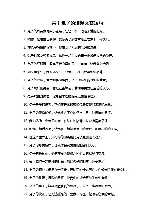 关于兔子的浪漫文案短句