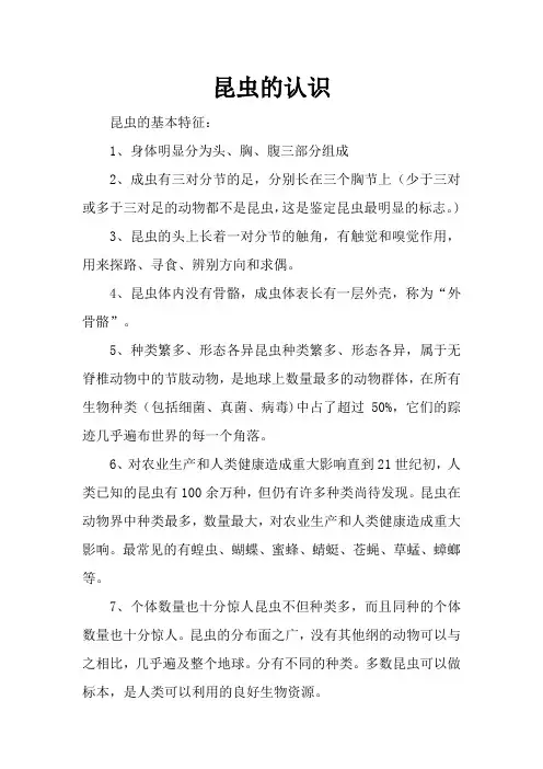 昆虫的认识