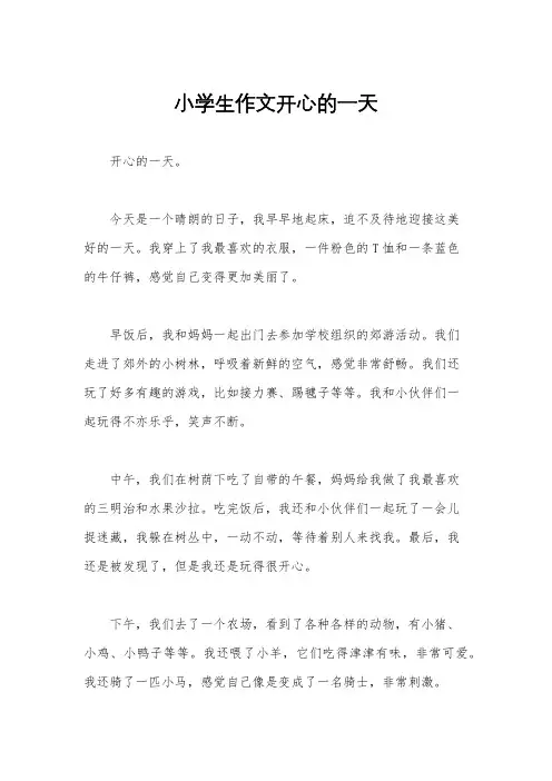 小学生作文开心的一天