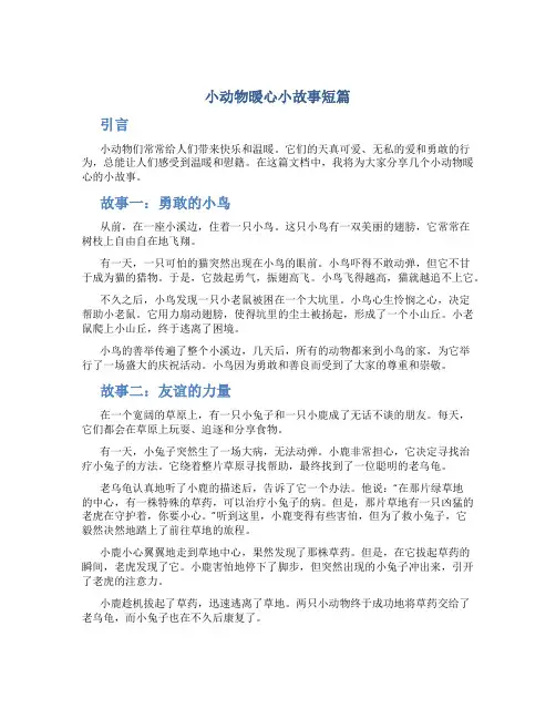 小动物暖心小故事短篇