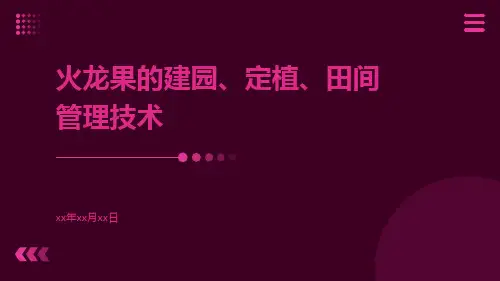 火龙果的建园、定植、田间管理技术