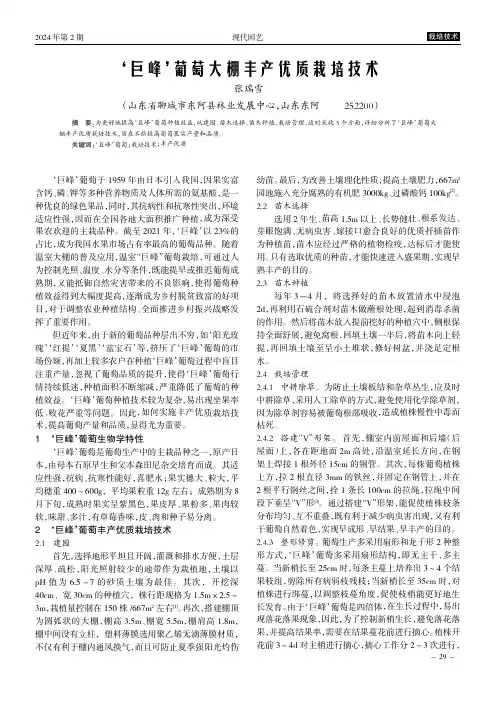‘巨峰’葡萄大棚丰产优质栽培技术