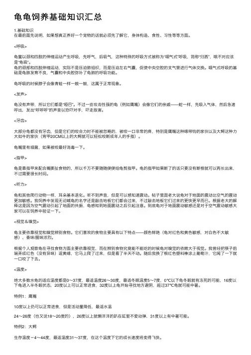 龟龟饲养基础知识汇总