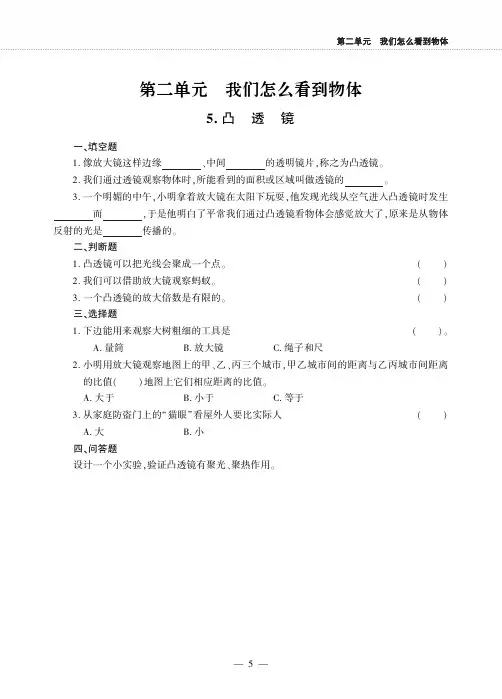 五年级下册科学一课一练第二单元 我们怎么看到物体青岛版