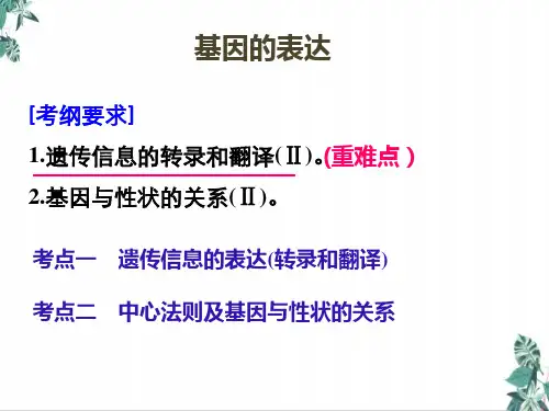 高中生物人教版《基因的表达》PPT上课课件