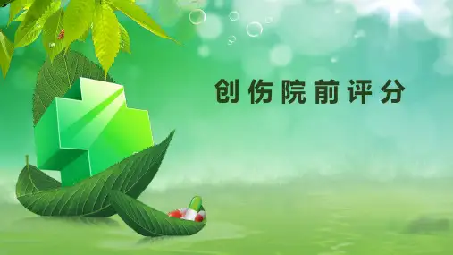 创伤院前评分