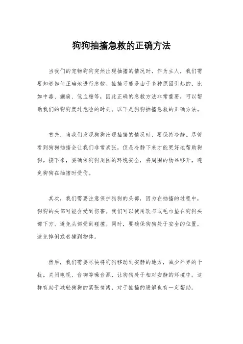狗狗抽搐急救的正确方法