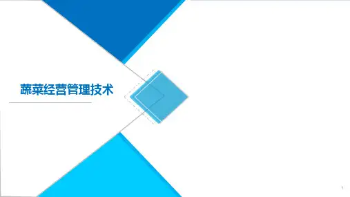 蔬菜培训课件
