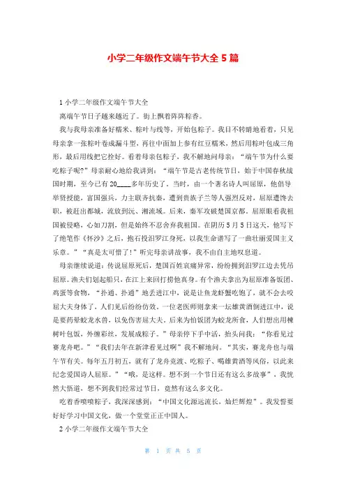 小学二年级作文端午节大全5篇