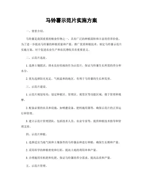 马铃薯示范片实施方案